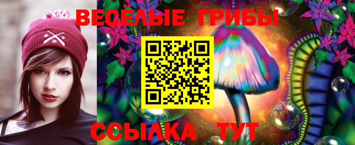 Галлюциногенные грибы Cubensis Гусиноозёрск