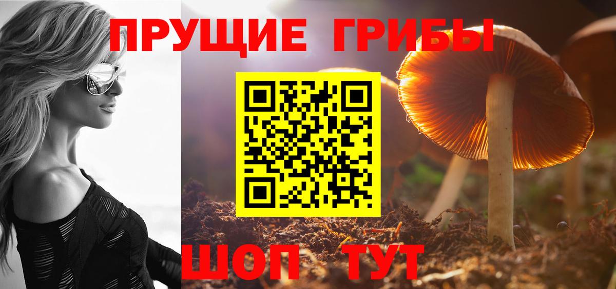 Псилоцибиновые грибы Cubensis  Галлюциногенные грибы прущие грибы  Вход с VPN  Гусиноозёрск 